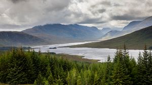 Preview wallpaper spruce, lake, slope, hills, clouds