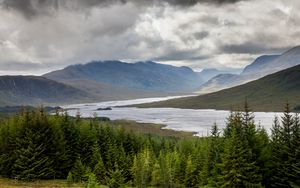 Preview wallpaper spruce, lake, slope, hills, clouds