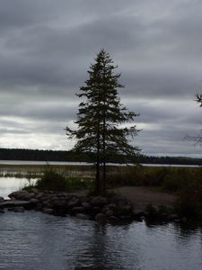 Preview wallpaper spruce, lake, stones, tree, horizon