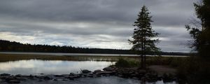 Preview wallpaper spruce, lake, stones, tree, horizon