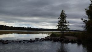 Preview wallpaper spruce, lake, stones, tree, horizon