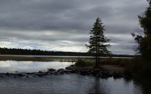 Preview wallpaper spruce, lake, stones, tree, horizon