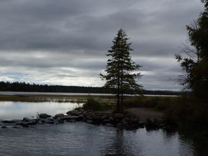 Preview wallpaper spruce, lake, stones, tree, horizon