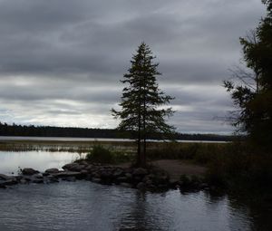 Preview wallpaper spruce, lake, stones, tree, horizon