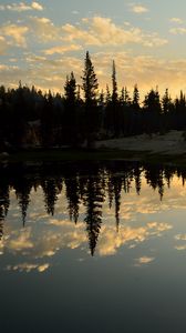 Preview wallpaper spruce, lake, trees, reflection, forest