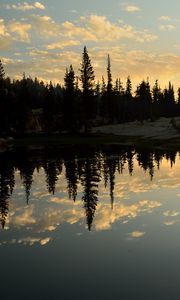 Preview wallpaper spruce, lake, trees, reflection, forest