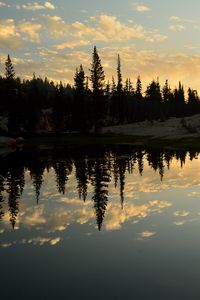 Preview wallpaper spruce, lake, trees, reflection, forest