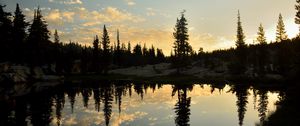 Preview wallpaper spruce, lake, trees, reflection, forest