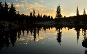 Preview wallpaper spruce, lake, trees, reflection, forest