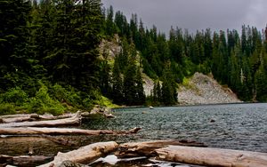 Preview wallpaper spruce, logs, water, stones