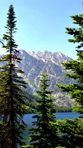 Preview wallpaper spruce, mountains, lake, forest