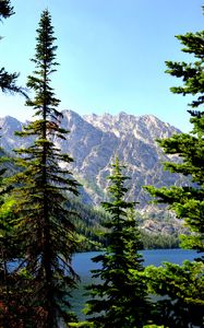 Preview wallpaper spruce, mountains, lake, forest