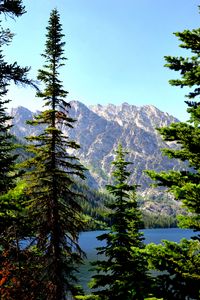 Preview wallpaper spruce, mountains, lake, forest