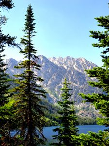 Preview wallpaper spruce, mountains, lake, forest