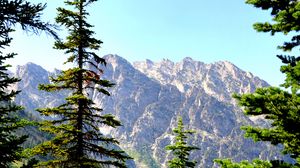 Preview wallpaper spruce, mountains, lake, forest