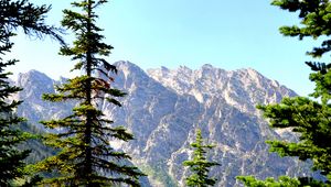 Preview wallpaper spruce, mountains, lake, forest