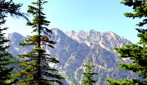 Preview wallpaper spruce, mountains, lake, forest