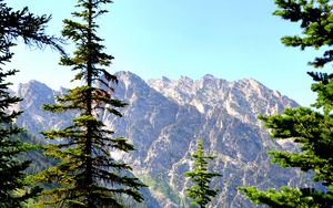 Preview wallpaper spruce, mountains, lake, forest
