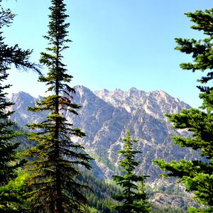 Preview wallpaper spruce, mountains, lake, forest