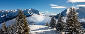 Preview wallpaper spruce, mountains, snow, fog, snowy