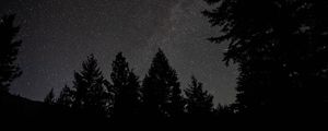 Preview wallpaper spruce, night, stars, starry sky, silhouette