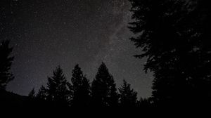 Preview wallpaper spruce, night, stars, starry sky, silhouette