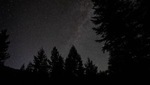 Preview wallpaper spruce, night, stars, starry sky, silhouette