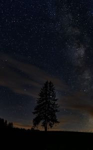 Preview wallpaper spruce, night, tree, stars, starry sky