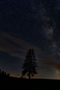 Preview wallpaper spruce, night, tree, stars, starry sky