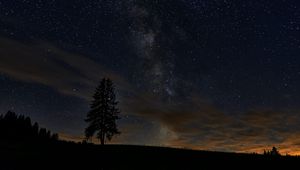 Preview wallpaper spruce, night, tree, stars, starry sky