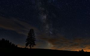 Preview wallpaper spruce, night, tree, stars, starry sky