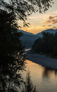 Preview wallpaper spruce, river, branches, hills