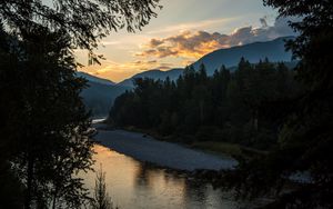 Preview wallpaper spruce, river, branches, hills