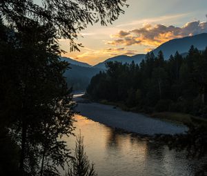 Preview wallpaper spruce, river, branches, hills