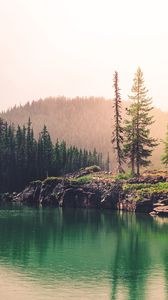 Preview wallpaper spruce, rocks, lake, forest, hill