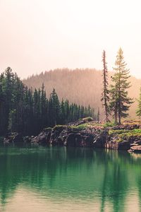 Preview wallpaper spruce, rocks, lake, forest, hill