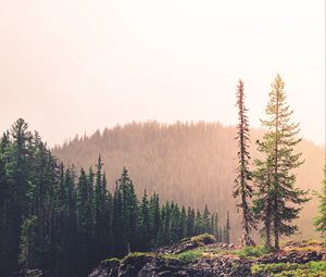 Preview wallpaper spruce, rocks, lake, forest, hill