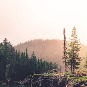 Preview wallpaper spruce, rocks, lake, forest, hill