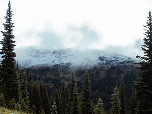Preview wallpaper spruce, slope, stones, trees, fog, mountains