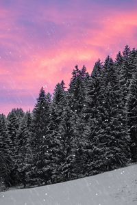 Preview wallpaper spruce, snow, snowfall, sky, winter, forest