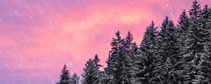 Preview wallpaper spruce, snow, snowfall, sky, winter, forest