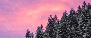 Preview wallpaper spruce, snow, snowfall, sky, winter, forest