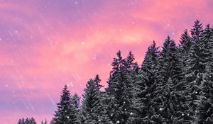 Preview wallpaper spruce, snow, snowfall, sky, winter, forest