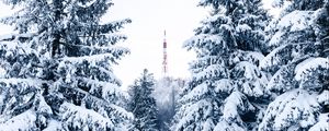 Preview wallpaper spruce, snow, trees, tower, winter, nature