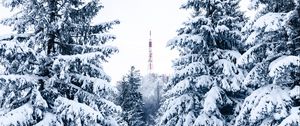 Preview wallpaper spruce, snow, trees, tower, winter, nature