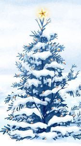 Preview wallpaper spruce, star, snow