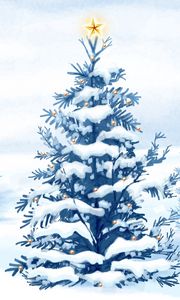 Preview wallpaper spruce, star, snow