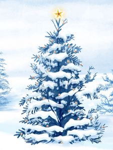 Preview wallpaper spruce, star, snow