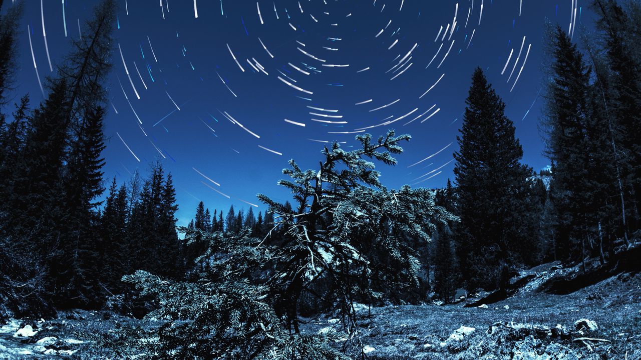 Wallpaper spruce, starry sky, circles, long exposure