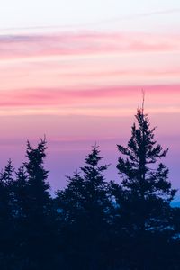 Preview wallpaper spruce, sunset, clouds, mist, pink